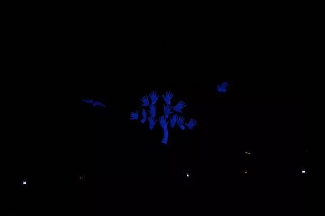 我愛乾港 我愛乾港